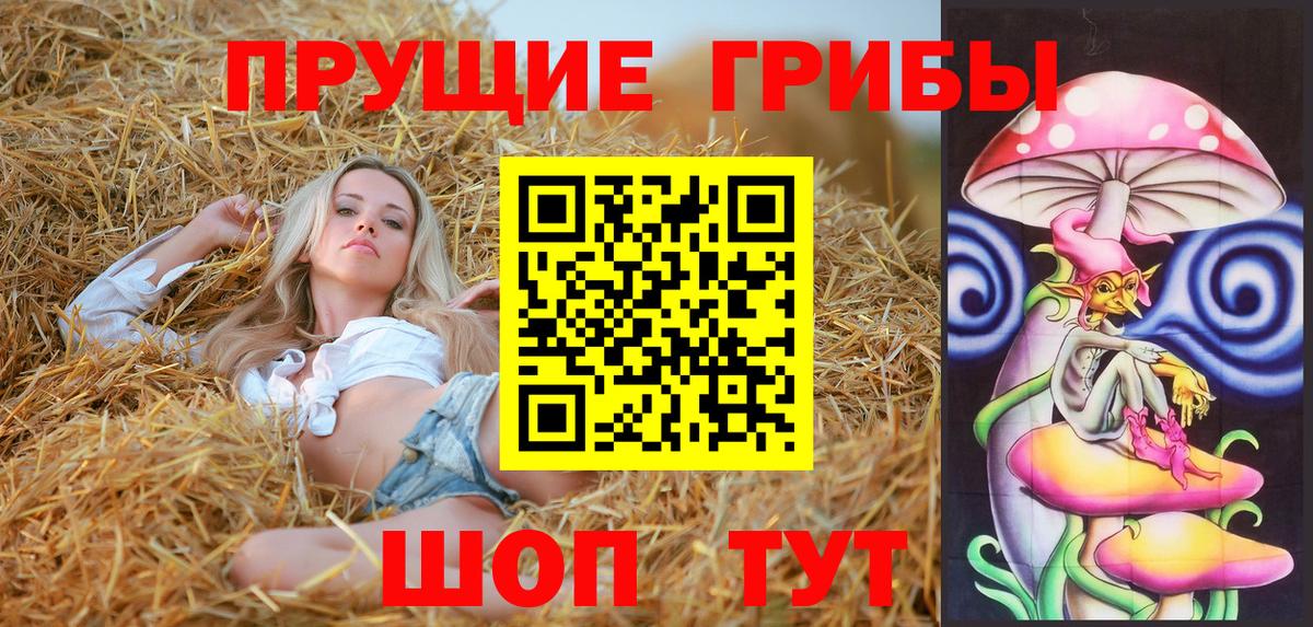 Псилоцибиновые грибы Psilocybine cubensis Бугуруслан